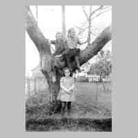 065-0051 Anwesen Otto Dunkel 1940. Im Baum Gerda Napiwotzki, Gerda und Helga Dunkel. Im Hintergrund sind Stall und Insthaus zu sehen..jpg